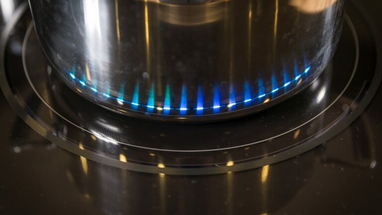 Dovresti acquistare una stufa a induzione o elettrica? Ecco come fare la scelta giusta