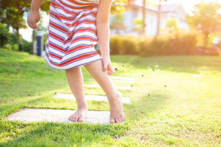 Vieni difendersi Dalle Zanzare a Giardino: I Rimedi