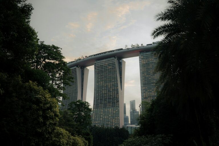 Billionaire philanthropy risks crowding out untapped private wealth in Asia: AVPN | News | Eco-Business
