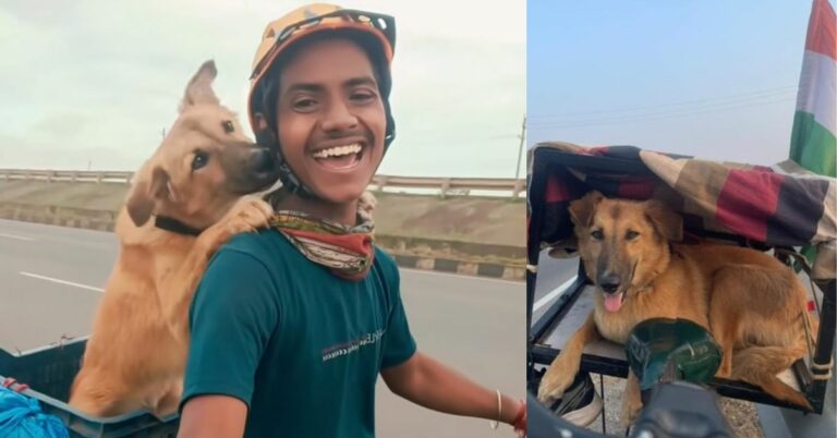 Injured Pup on Highway Changed This Youth’s Life Forever & Together They’ve Cycled Across 15 States