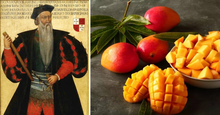 400 Years Ago, A Portuguese Viceroy’s ‘Table Manners’ Gave India Its Beloved Alphonso