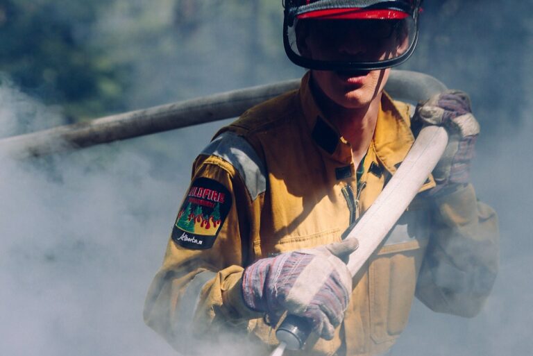 How extreme heat affects wildfire risk | News | Eco-Business