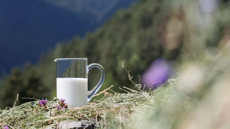 I Rischi da Latte Crudo Aumentano in Estate, Nuove Linee Guida - Alimentazione