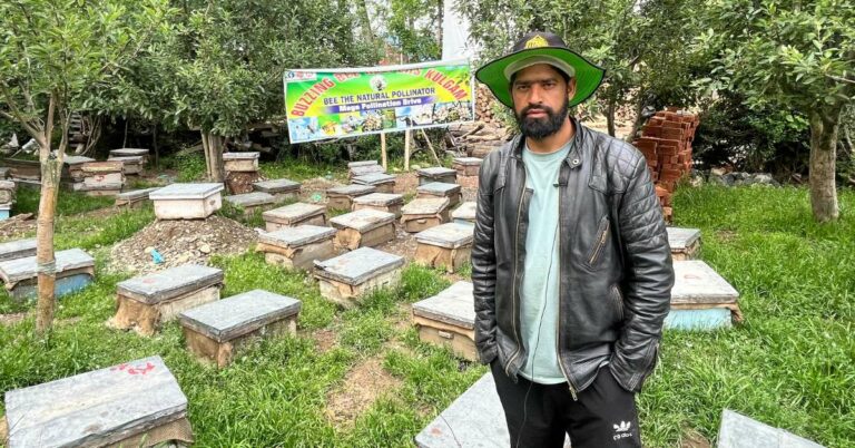 Lecturer-Turned-Beekeeper Builds 100-Hive Honey Venture in Kashmir & Doubles His Income