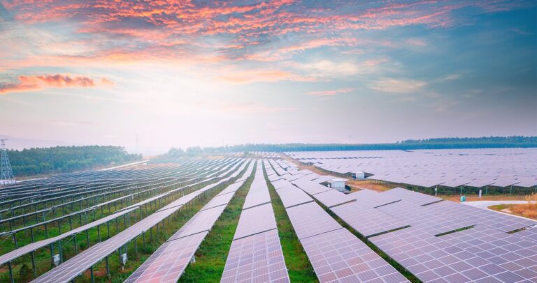 MAGA Mind Games Will Make America Last In Auto & Solar Industries
