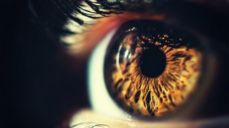 Close up of a human eye with brown iris