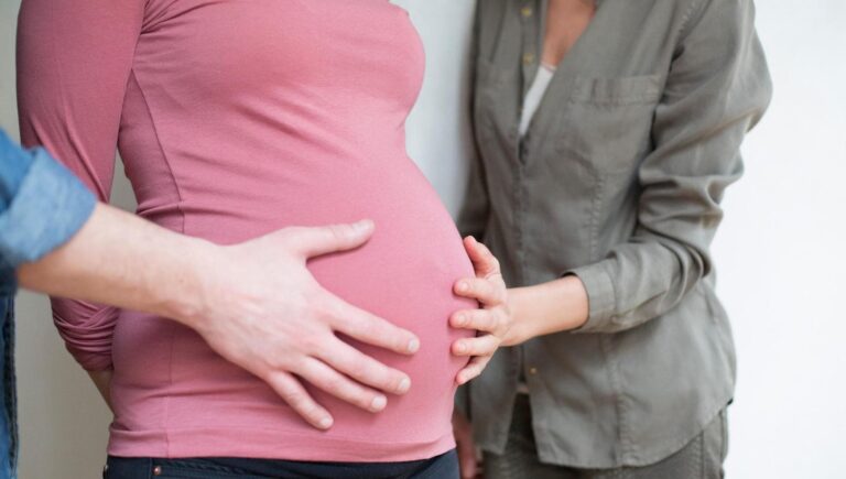 "SULLA GESTAZIONE PER ALTRI MELONI CI REMPENSI: NON POTER DIVENTARE MADRI È UNA MALATIA"