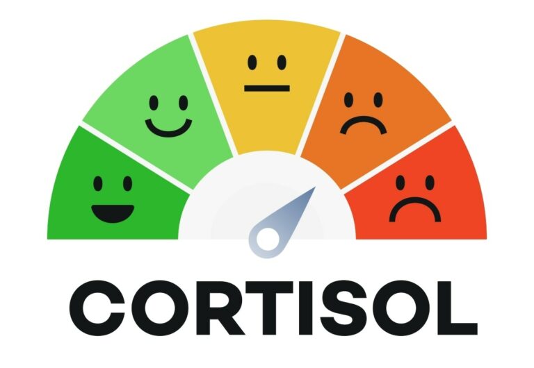 https://www.my-personaltrainer.it/2025/02/10/cortisolo-orig.jpeg