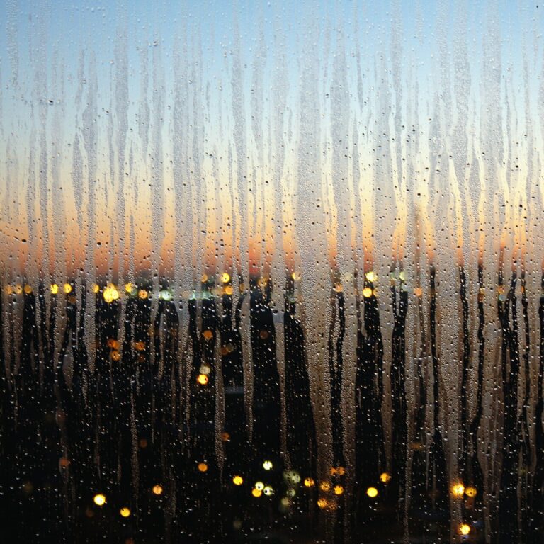Condensa sui vetri la mattina: cosa dice e cosa fare nei primi dieci minuti Day and night - Flickr - gagilas