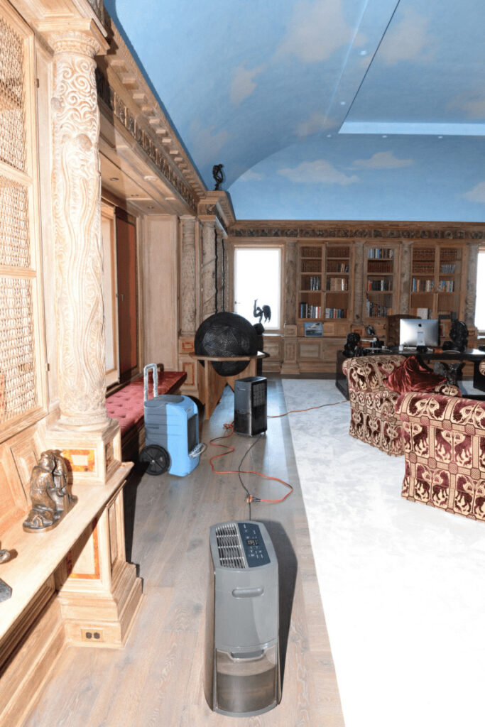 Il deumidificatore comprato l’anno scorso: metterlo nel punto giusto EFTA00001836 - Luxurious room with ornate wooden walls a painted blue ceiling and antique furniture featuring a large air purifier and dehumidifier on the floor