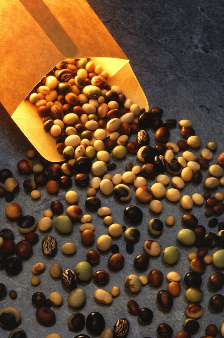 Zuppa di legumi secchi: l’ammollo e i due errori che la lasciano dura Soybeanvarieties